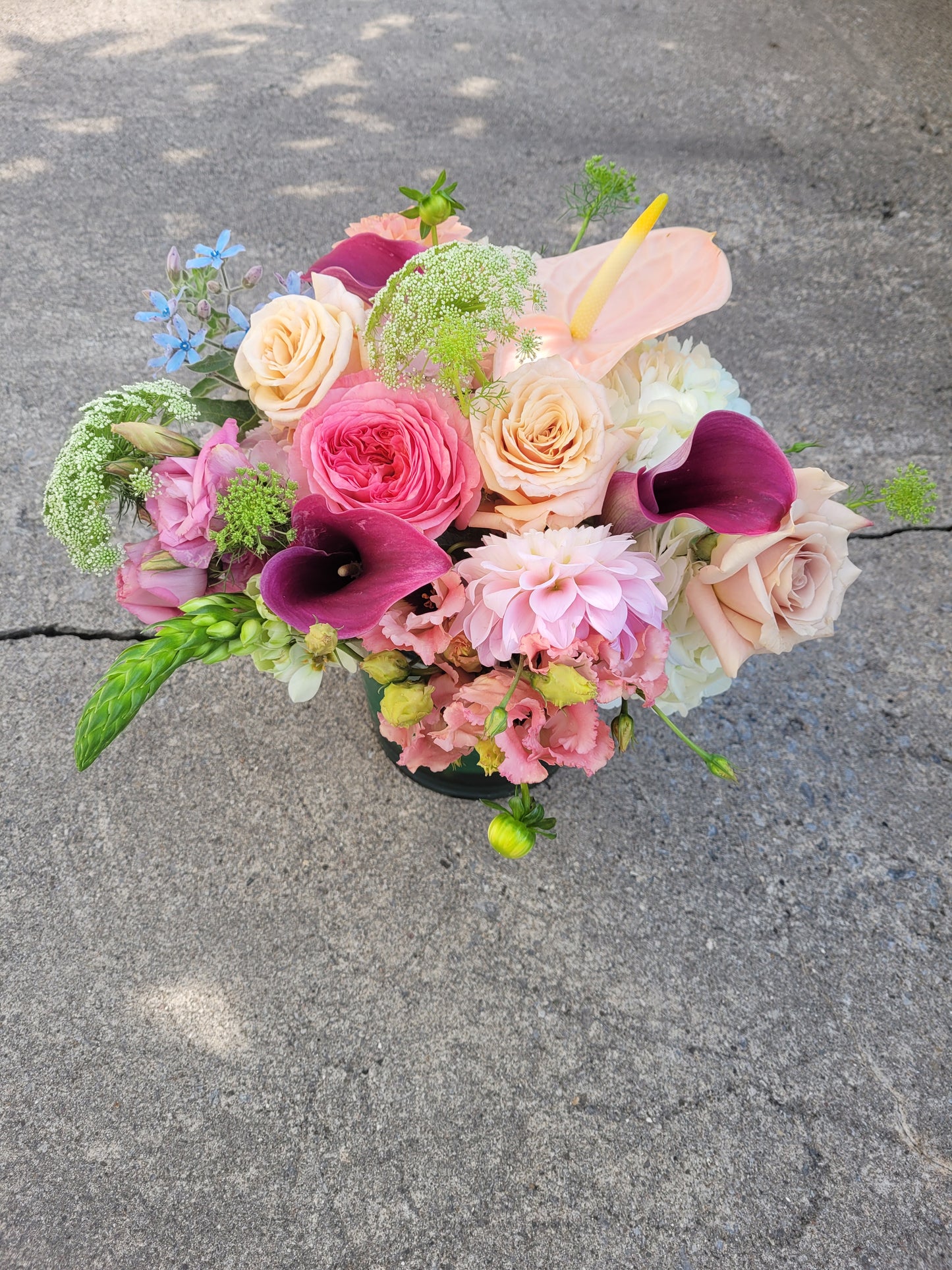 Designer's Choice, Arrangements