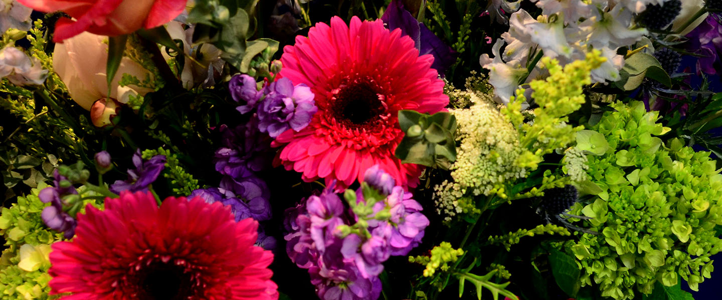 Belmont Flowers Floral Arrangements and Bouquets