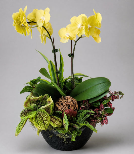 Orchids in a Meadow Garden