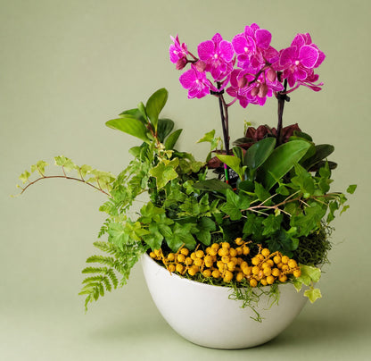 Orchids in a Meadow Garden